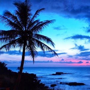 Meet your Posher, Leslie